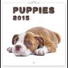 Puppies képes falinaptár 2015 RS6097PU