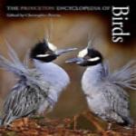 Antikvár könyv - The Princeton Encyclopedia of Birds by Christopher M. Perrins (Madár enciklopédia)
